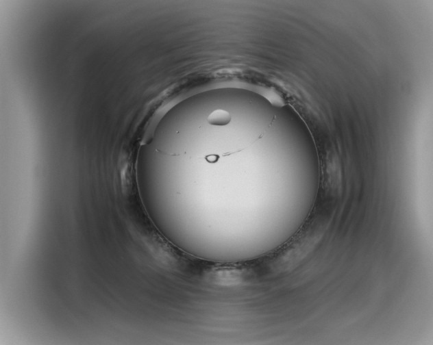X0000116270228200911301220