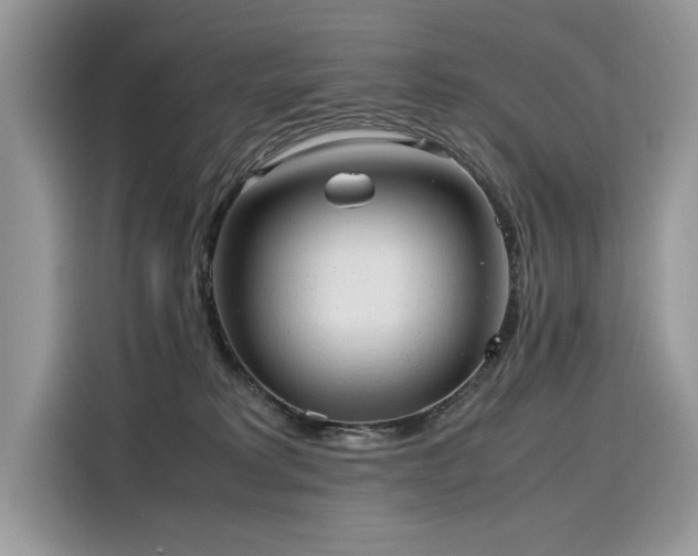 X0000116270229200911301220