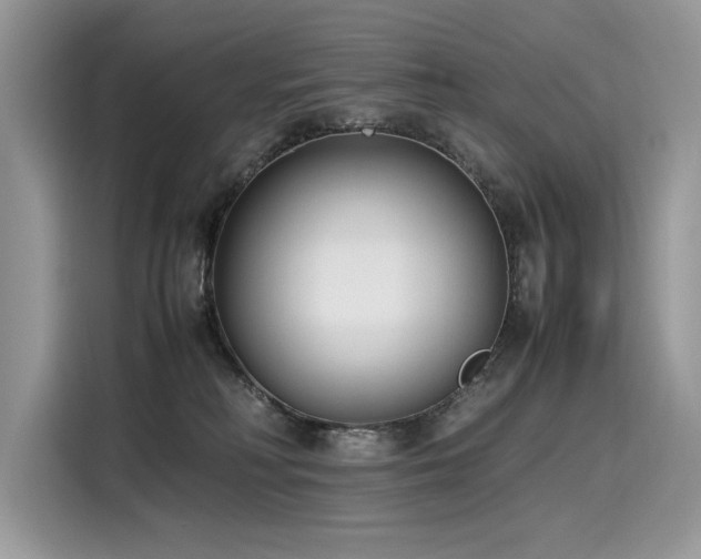 X0000116270230200911301219