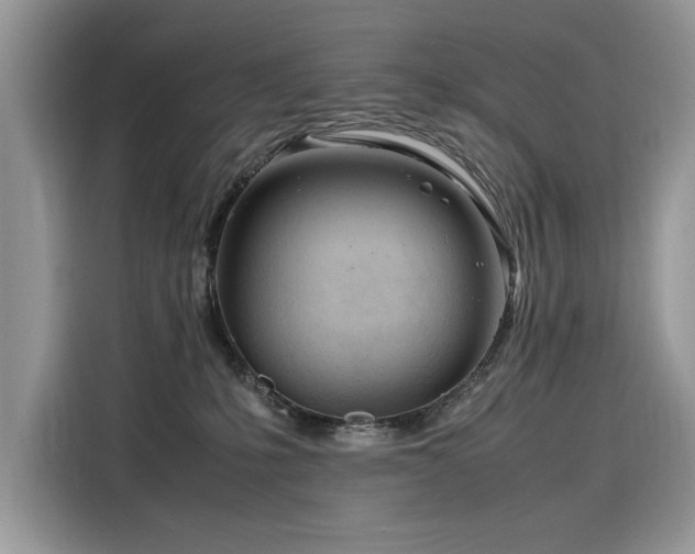 X0000116270231200911301219