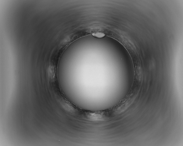 X0000116270232200911301219