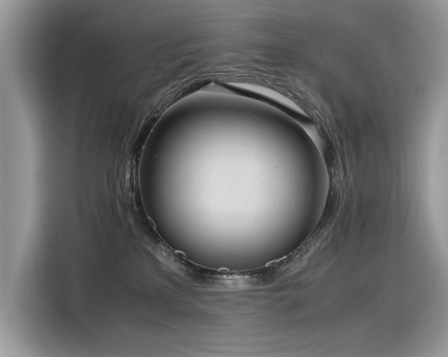 X0000116270233200911301219