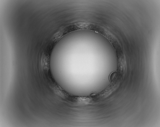 X0000116270234200911301219