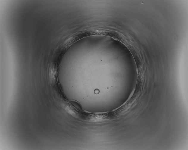 X0000116270235200911301219