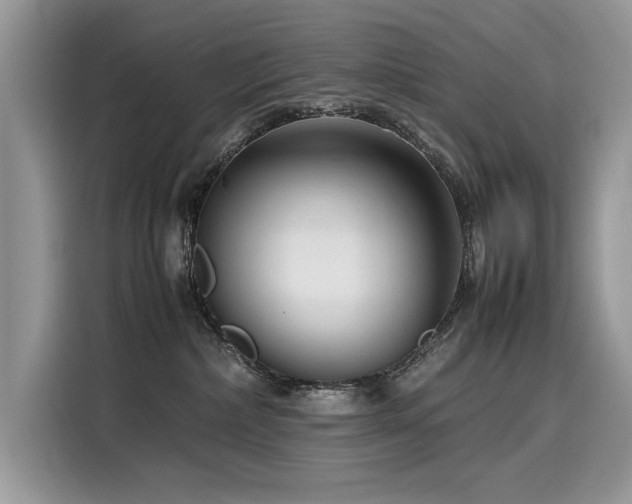 X0000116270236200911301219