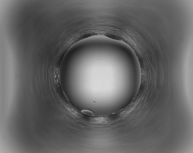X0000116270237200911301219