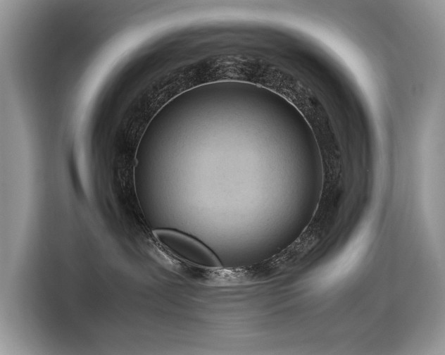 X0000116270239200911301219