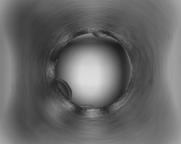 X0000116270240200911301219