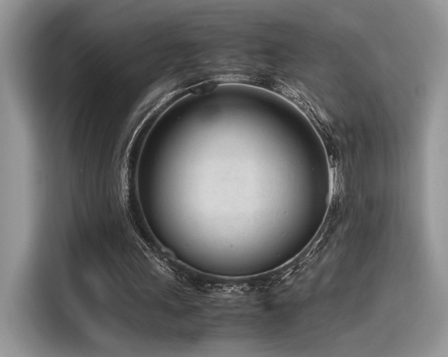 X0000116270243200911301219