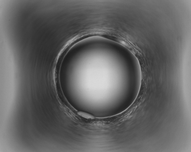 X0000116270244200911301219