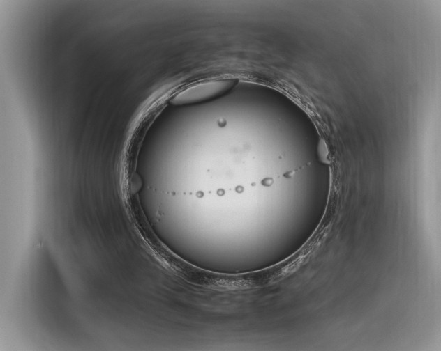 X0000116270245200911301219