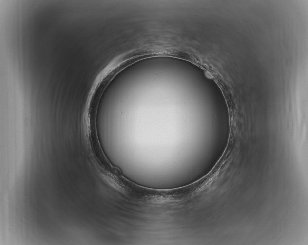 X0000116270246200911301219