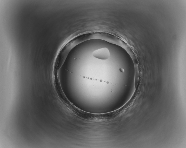 X0000116270248200911301219