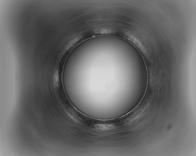 X0000116270251200911301219