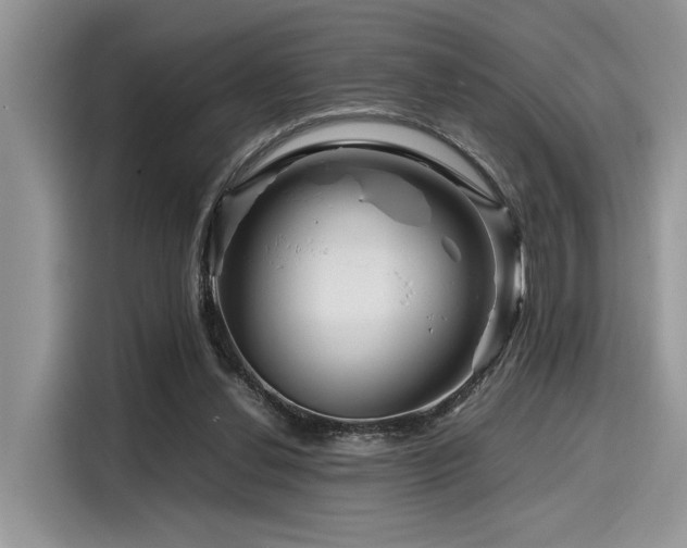 X0000116270252200911301219