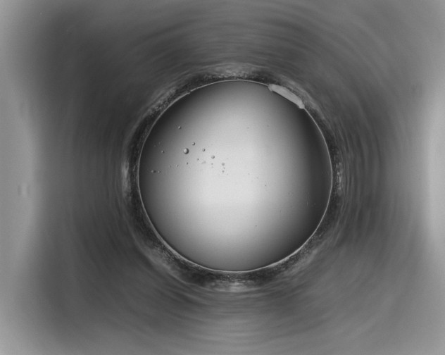 X0000116270254200911301219