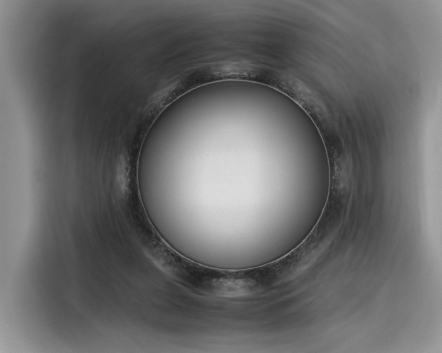 X0000116270255200911301219