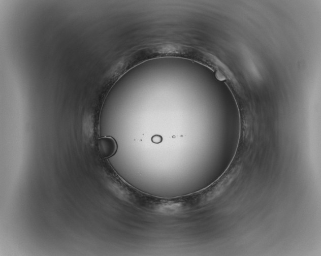 X0000116270257200911301219