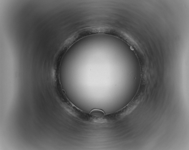 X0000116270258200911301219