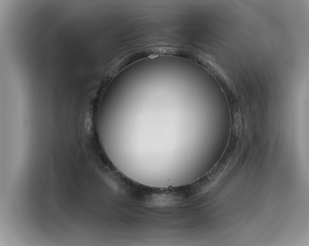 X0000116270259200911301219