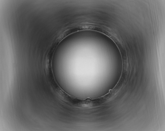 X0000116270263200911301219
