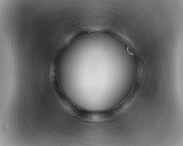 X0000116270264200911301219