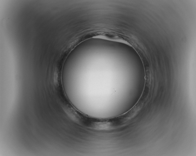 X0000116270266200911301219