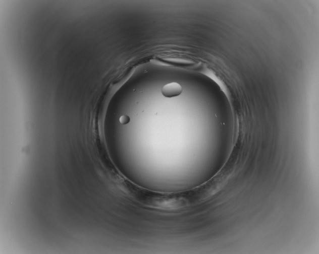 X0000116270267200911301219