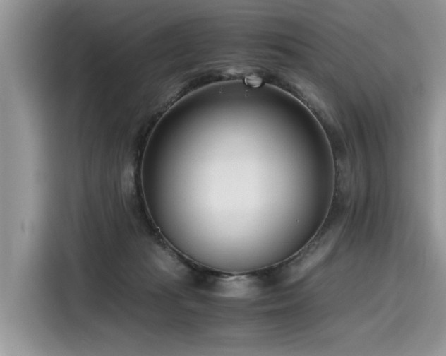 X0000116270269200911301219