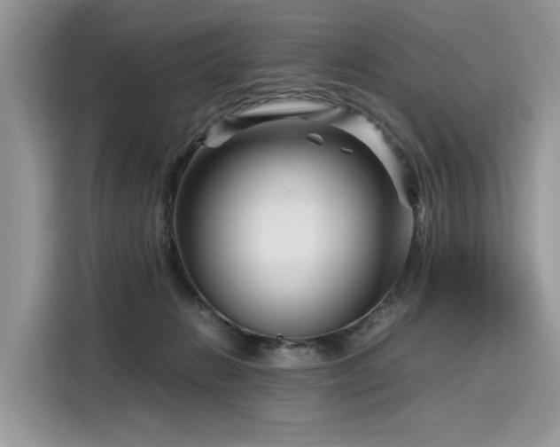 X0000116270270200911301219