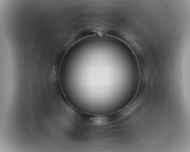 X0000116270273200911301219