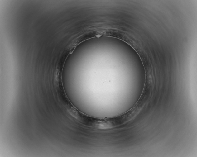 X0000116270275200911301219