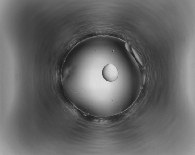X0000116270276200911301219