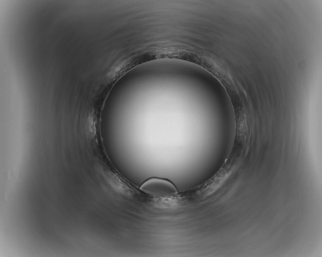 X0000116270282200911301219