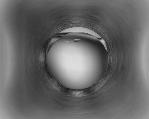 X0000116270283200911301219