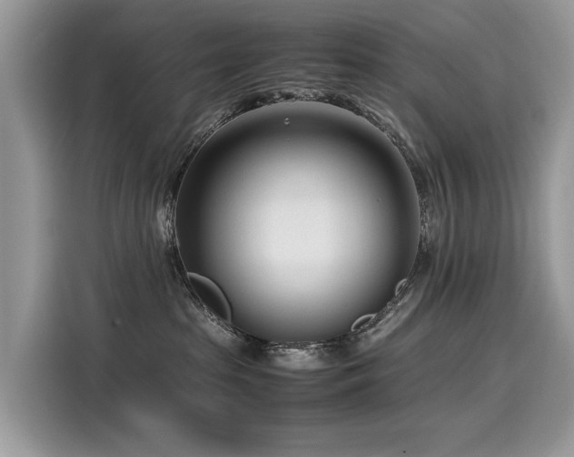 X0000116270285200911301219
