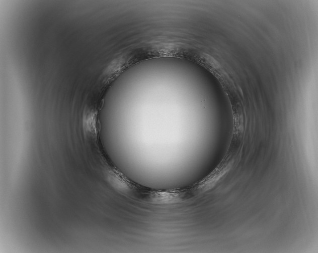 X0000116270286200911301219