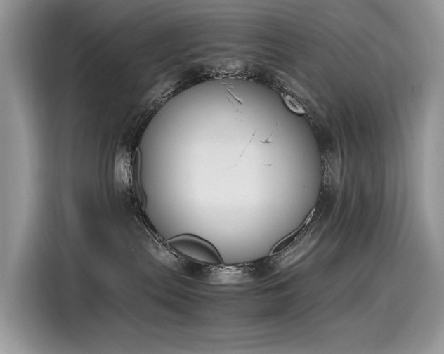X0000116270287200911301219