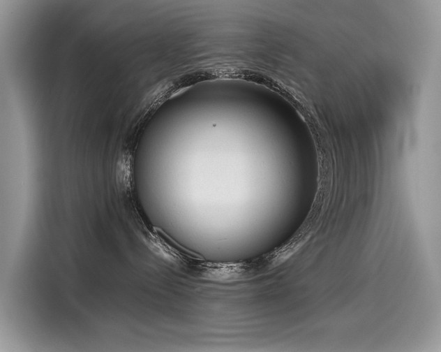 X0000116270288200911301219