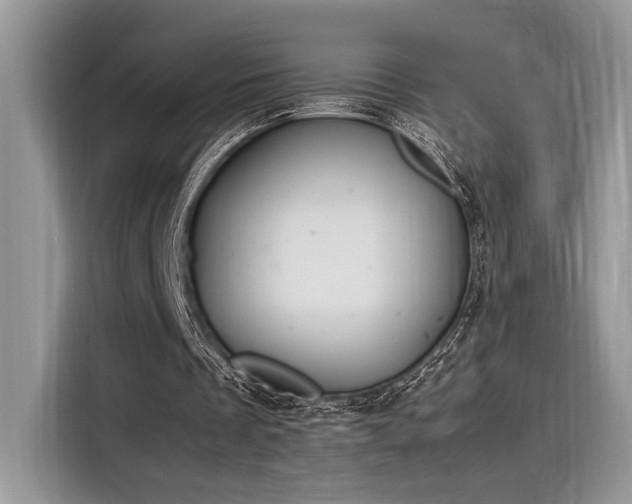 X0000116270289200911301219