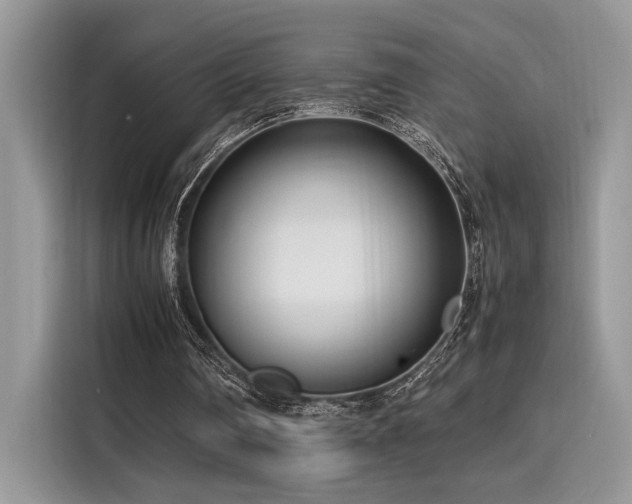X0000116270290200911301219
