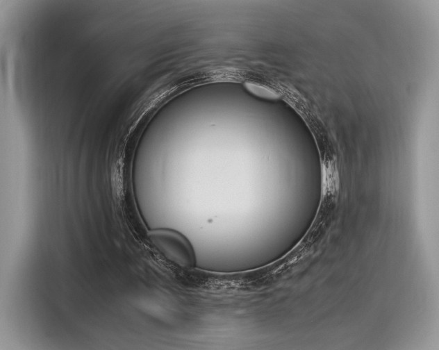 X0000116270291200911301219
