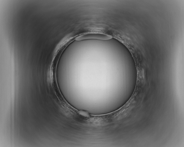 X0000116270294200911301219
