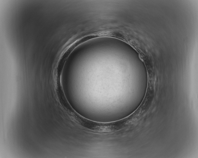 X0000116270295200911301219