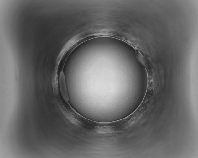 X0000116270296200911301219