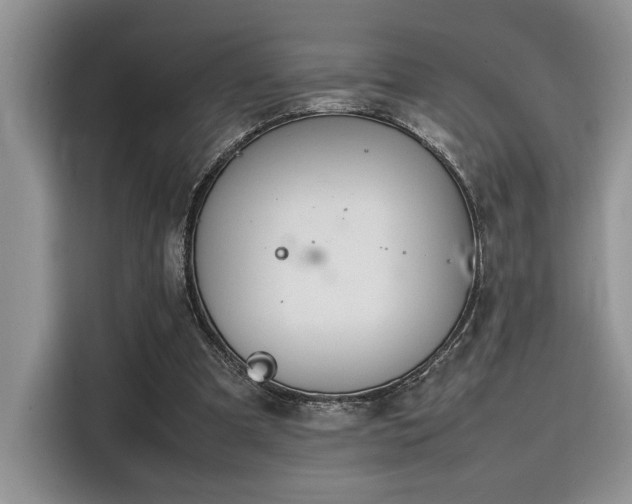 X0000116270297200911301219