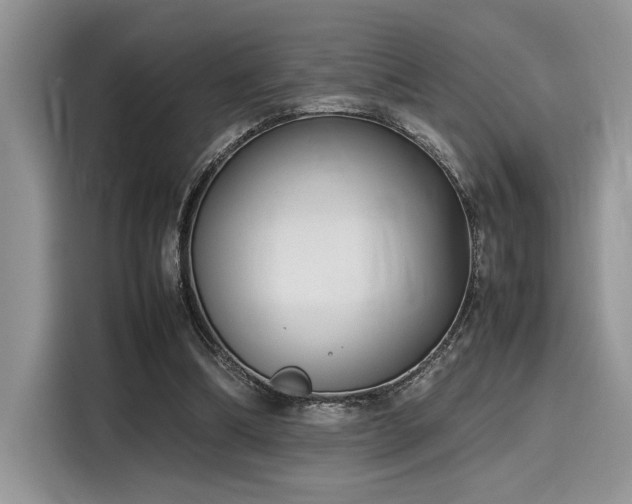 X0000116270298200911301219