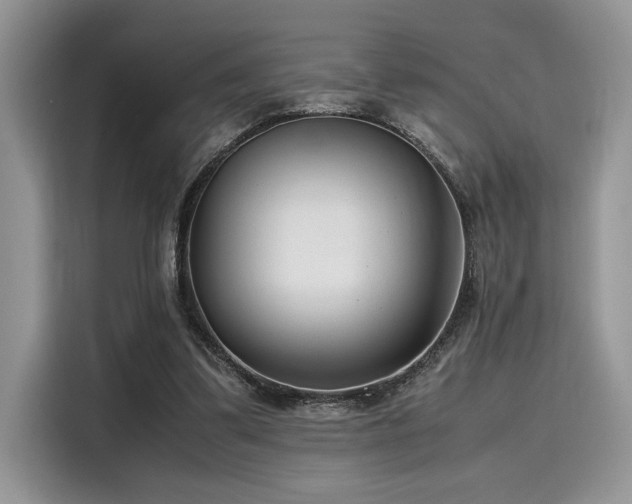 X0000116270299200911301219