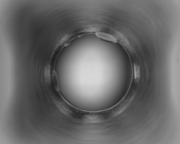 X0000116270300200911301219