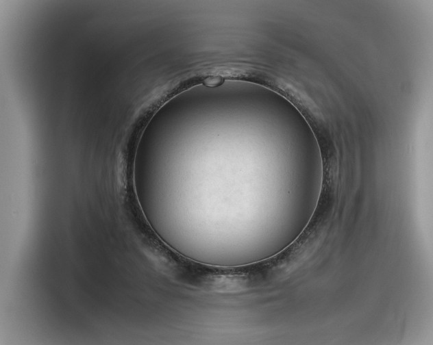 X0000116270303200911301219